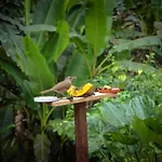 Recanto Juçara UBATUBA